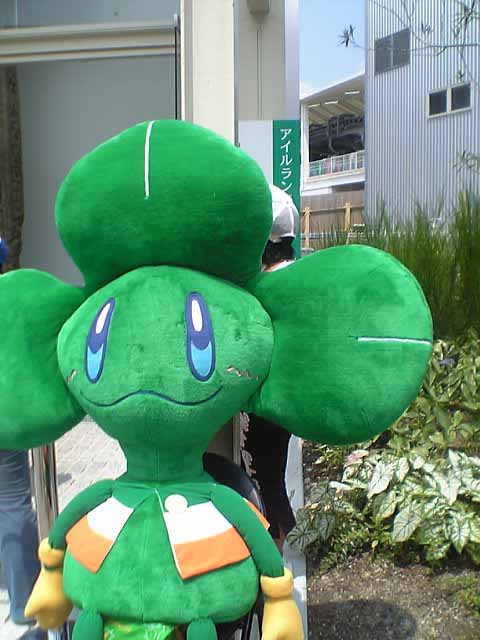 VFSH0005.jpg