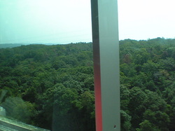 VFSH0031.JPG