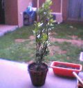 04-06-13_18-10.jpg